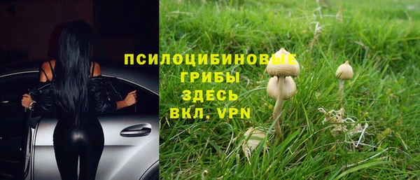 a pvp Алексеевка