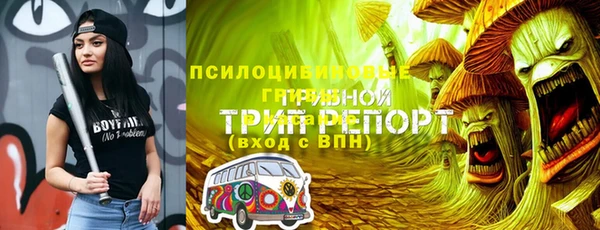индика Алзамай