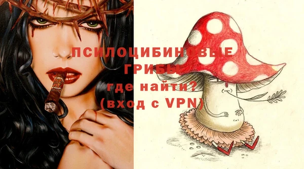 индика Алзамай